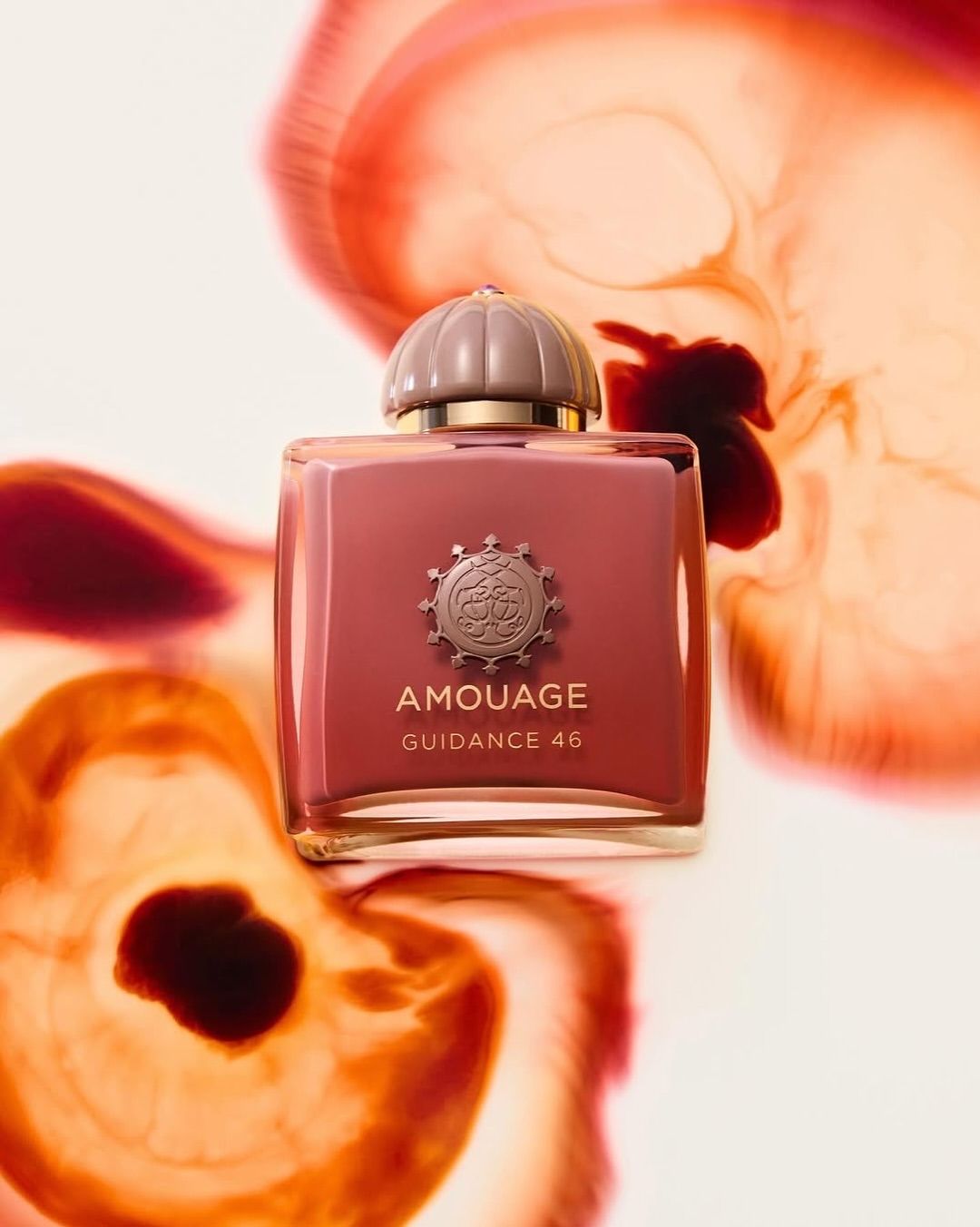 Amouage Guidance 46